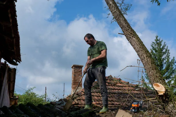 Emergency Tree Services