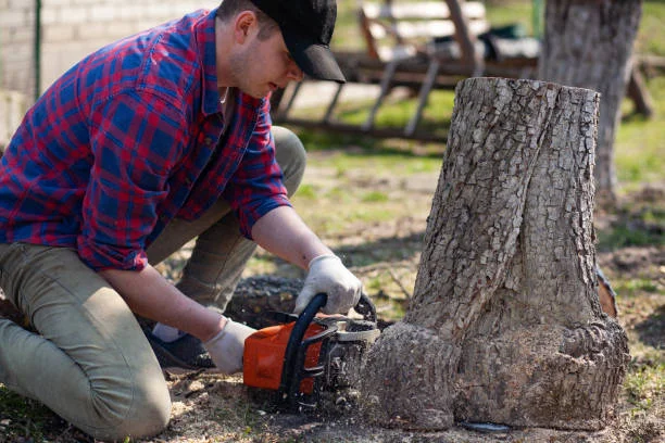 Tree Stump Removal