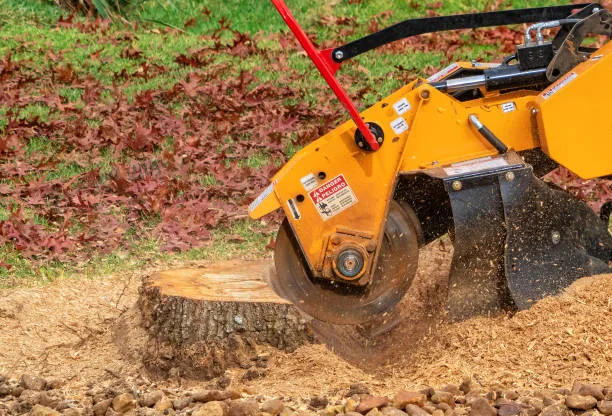 stump removal brea ca