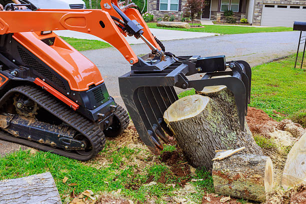 stump removal brea ca